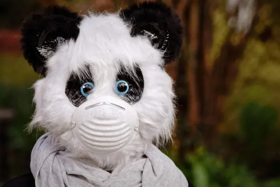 Vegadream Kasino Podpora